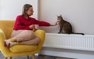 chat assis sur un radiateur